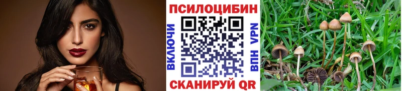 Галлюциногенные грибы мухоморы Новомичуринск